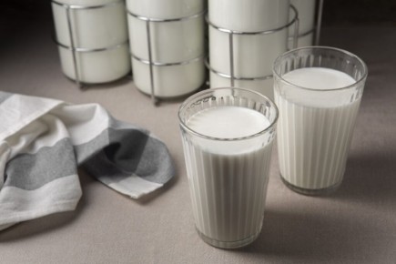 ����� � ���������: ����� ������ ������ ����������