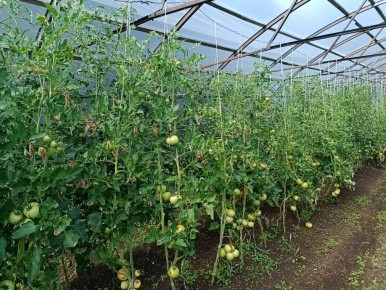 ������� ���������� ����� � ������� ��� ������� ������ ��� �����