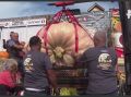 Гигантская тыква весом свыше тонны покорила чемпионат в Калифорнии