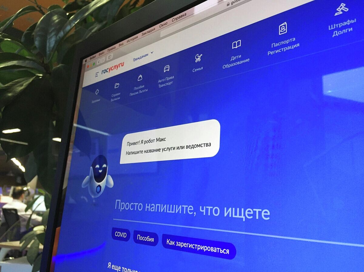 Минцифры начали проверку блокировок на «Госуслугах» в ответ на жалобы граждан