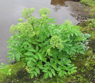 ���������� ������� ��������: ��� �� ���������� ������ � �������