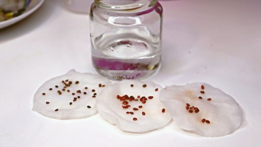 ����������� �����: ��� ��������� ����� �� �������� ���������