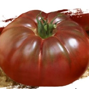 ������ ������ �����: ������� ������ � �������� ��������������