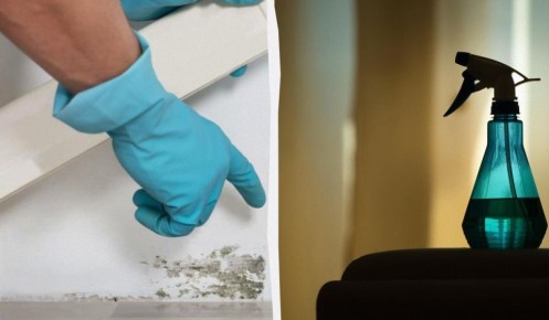 ��� �������� ���������� �� ������� �� ������: ������� ������