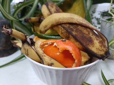 ������� � ��������: �������� � ������ ��� ��������� ���������