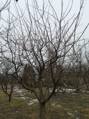 ����� ����� ������������� ������� ��� ������������?