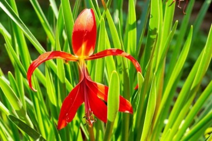 ��������� �������������: ������� ����������� ����� ������� � ����� ����