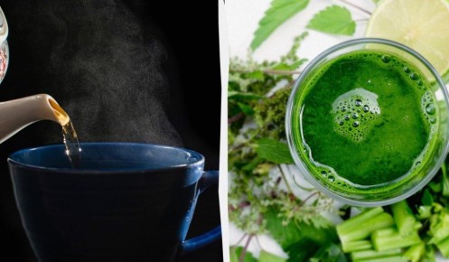 ��� ������� ����� �������� ������ �����: ���-10 ������������