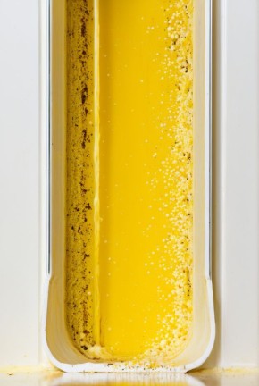 ����������� ����: ��� �� �������� ������� ������ � ����� �����������