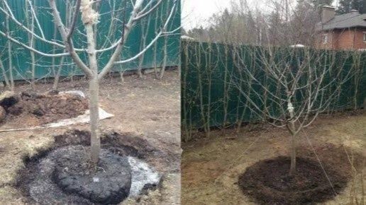 ��� ���������� �������� ������ ������ ��� ����� ��� ��� �����