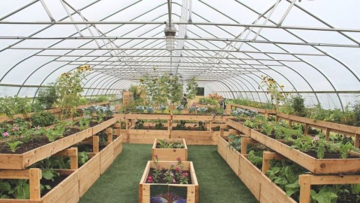 ��� ���������� � ����������� ������ � �������