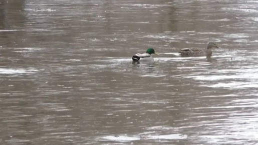 �� ��������� ���������� 10 ����������� ������, ������� ��� ��� ����� ����� ���� ������ �����