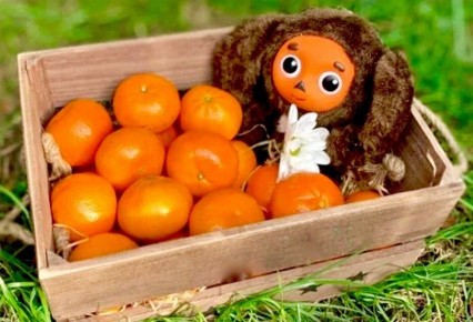 Тарт о цитрон: волшебный десерт для настоящих гурманов