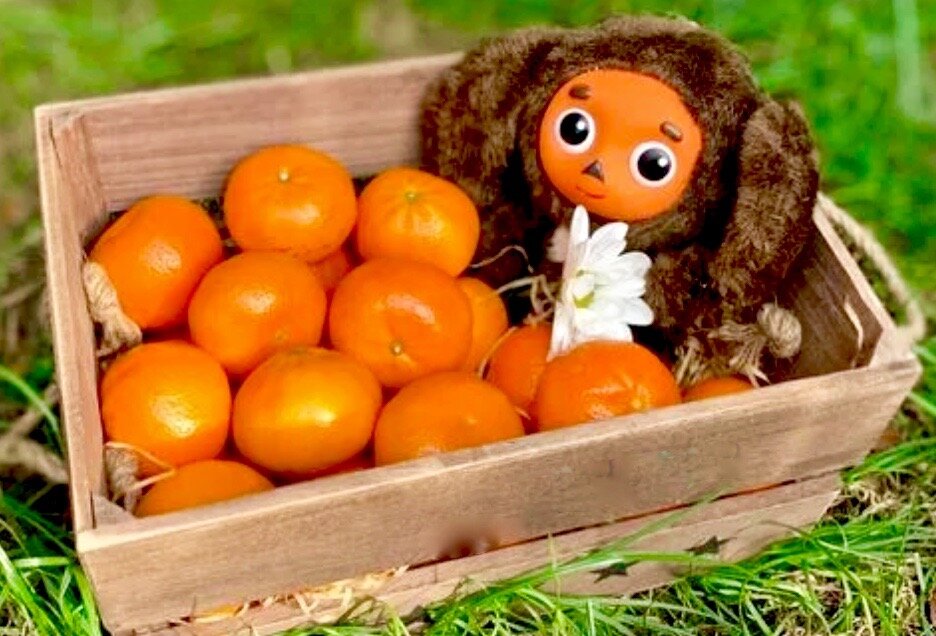 Тарт о цитрон: волшебный десерт для настоящих гурманов