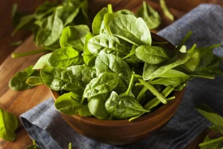 ������: ��� ��������� ������ �������� �� �����������