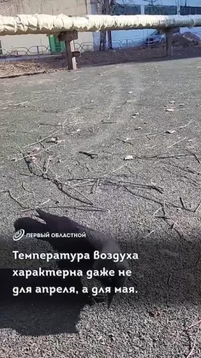 Грачи прилетели! В Орёл пришла настоящая весенняя погода!