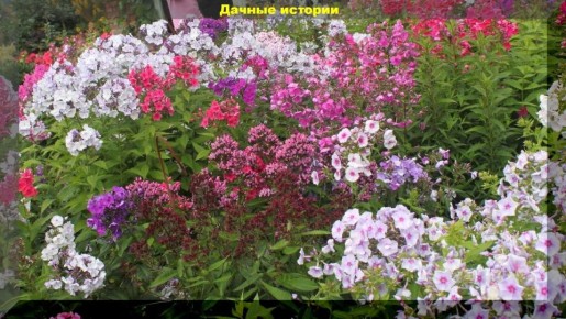 ��� �������� ���������� �������� �������: ������� �������� ��������