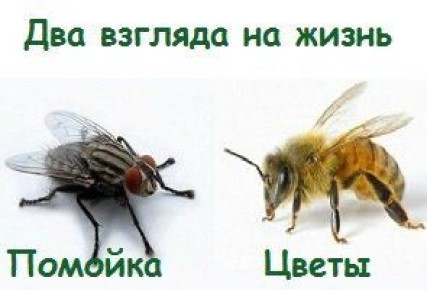 Как избавиться от жалоб: 14 шагов к счастью и гармонии