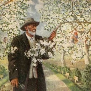 ��� ������� ���� �������� ����� ����������� ��� ���