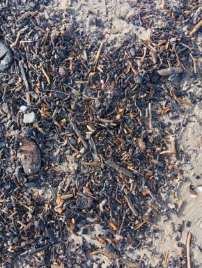 ������ ���� ����������: ��� �������� ����� ���� �����