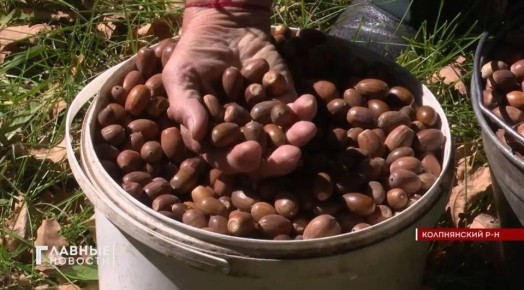 60 �� ���� ��������� ������������ � ��������� ������� � 2026 ����