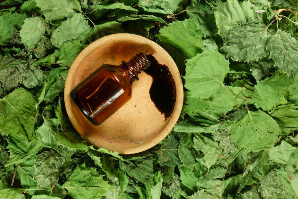 ��������� �����: ����������� ������� ��� ����������