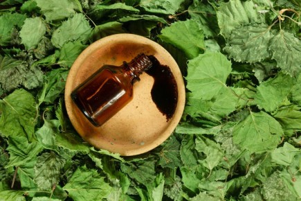 ��������� �����: ����������� ������� ��� ����������