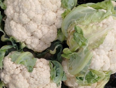 ���-10 ����� �������������� ��������� ������� � ������