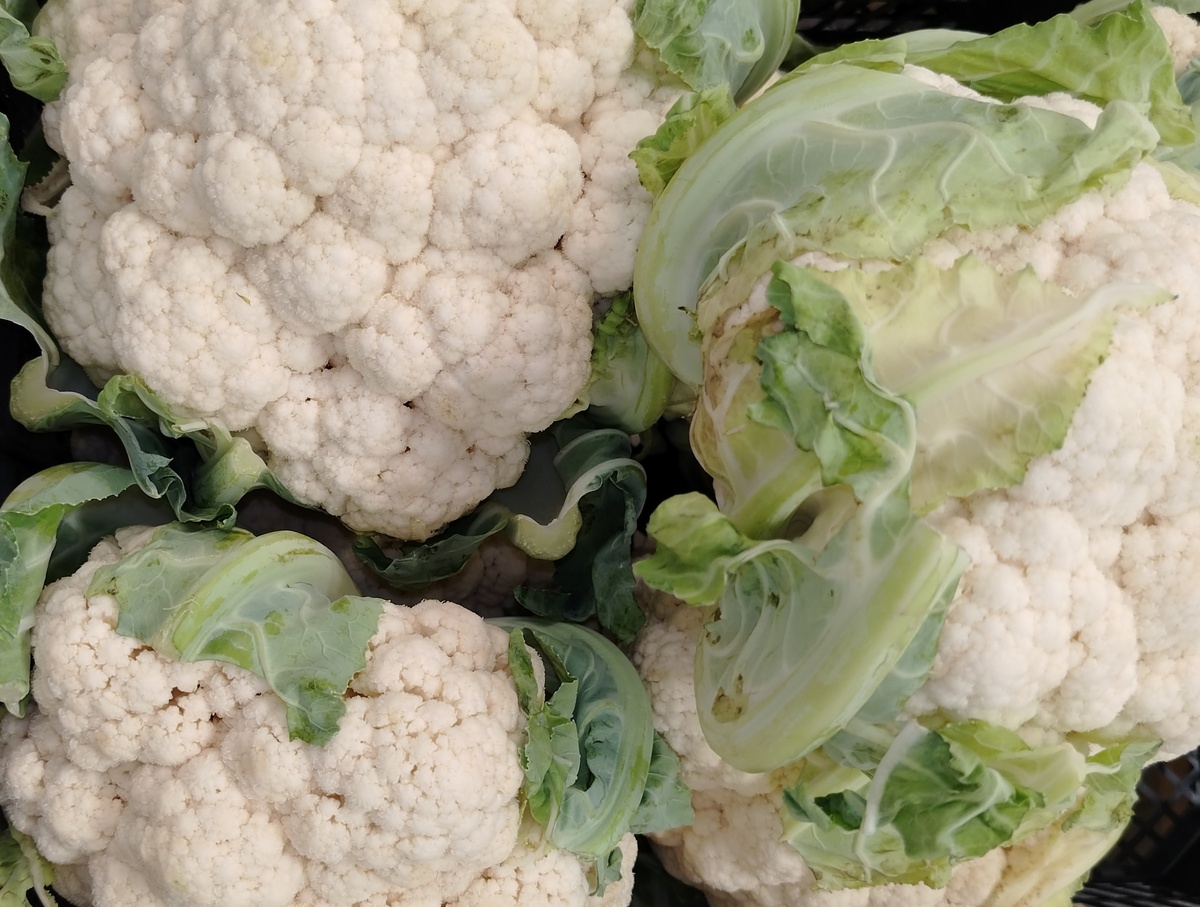 Топ-10 самых быстрорастущих продуктов питания в России