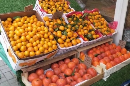 ���� � ����������: ������ �� ������ �� ����