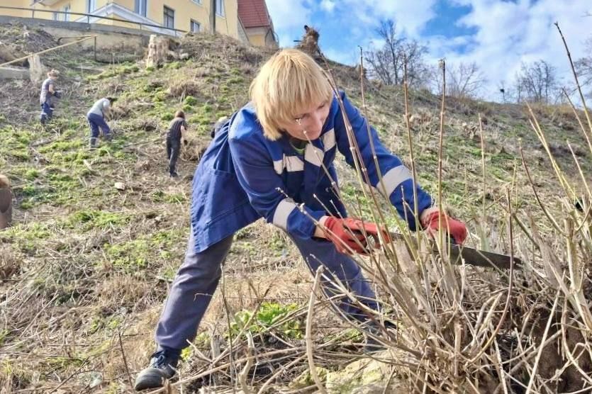 ������������� ���������� ��������� ������� � ������ ������ ����