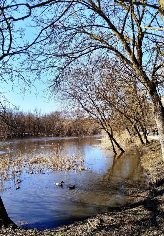 ������ ����, ������!. ������� ��������� ������� ������������ ������ ��� ����� +11�� ����������� �������� 741 ��. ��. ��. ����� ��������, ���� �� ��������� 4 �/� (���� �������� ���������) ��� ����� � ���