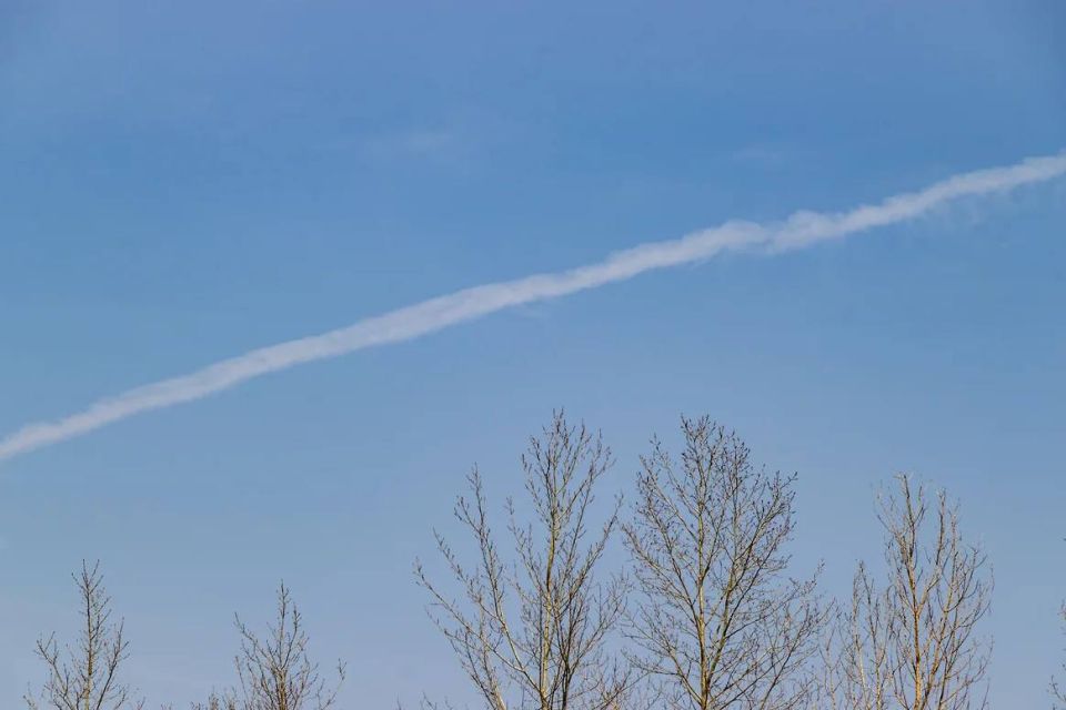 � �������� ����� ��� ����� ���� ��� ����� ��������� �����������