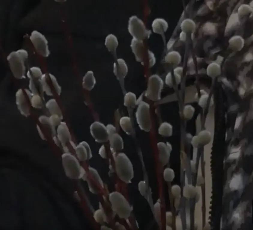 Православные орловчане сегодня встречают один из главных праздников — Вход Господень в Иерусалим