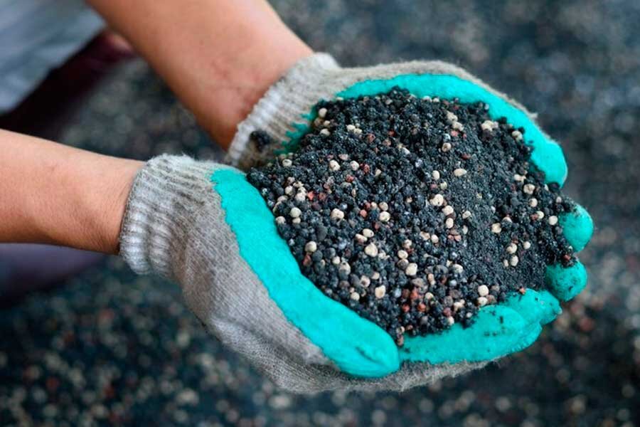 Как правильно подкормить плодовые деревья осенью: советы и рекомендации