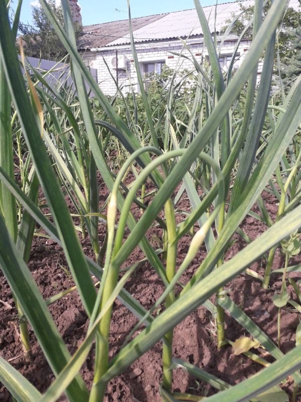 ��� ��������� ���������� ������ � ������ ������������ � ����� ��� ��������