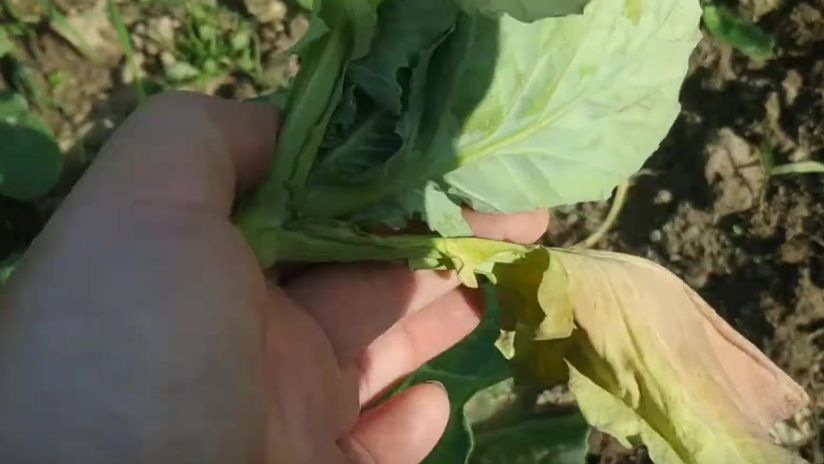 ��� �������� ������� � ����: ������� ��������� ������