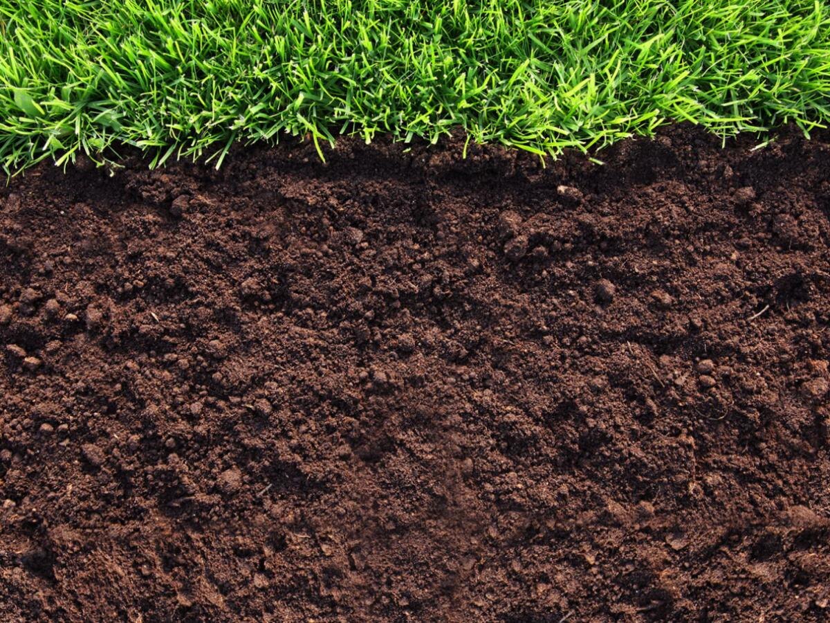 Как оживить кислую почву: секреты доломитовой муки