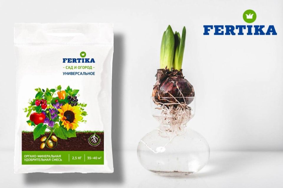 ���������� �����: ������� �������� ������� � ������ �� �����