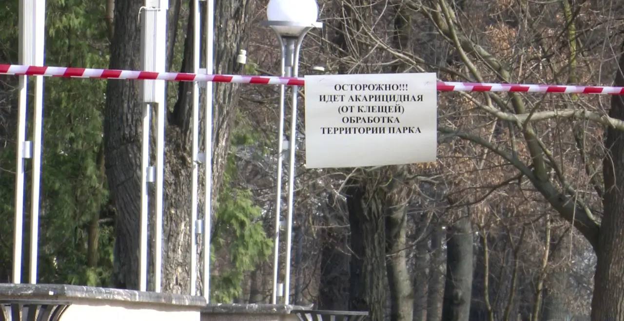 В Орле после выходных закроют парки на обработку от клещей В Орле после выходных закроют парки на обработку от клещей