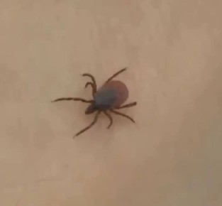 ��� 31 ������ ��������� ������� ��������� � ������ � �������� �� ����� ������