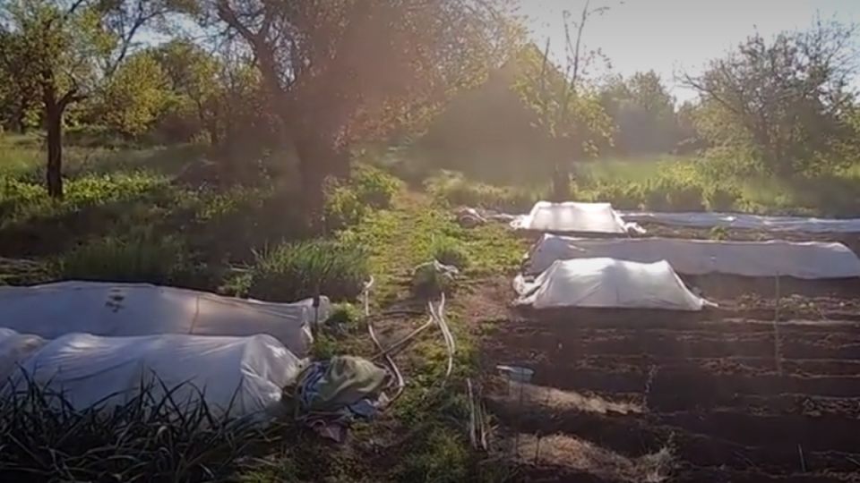 10 �������� ������ ���� �� ���������� ����������