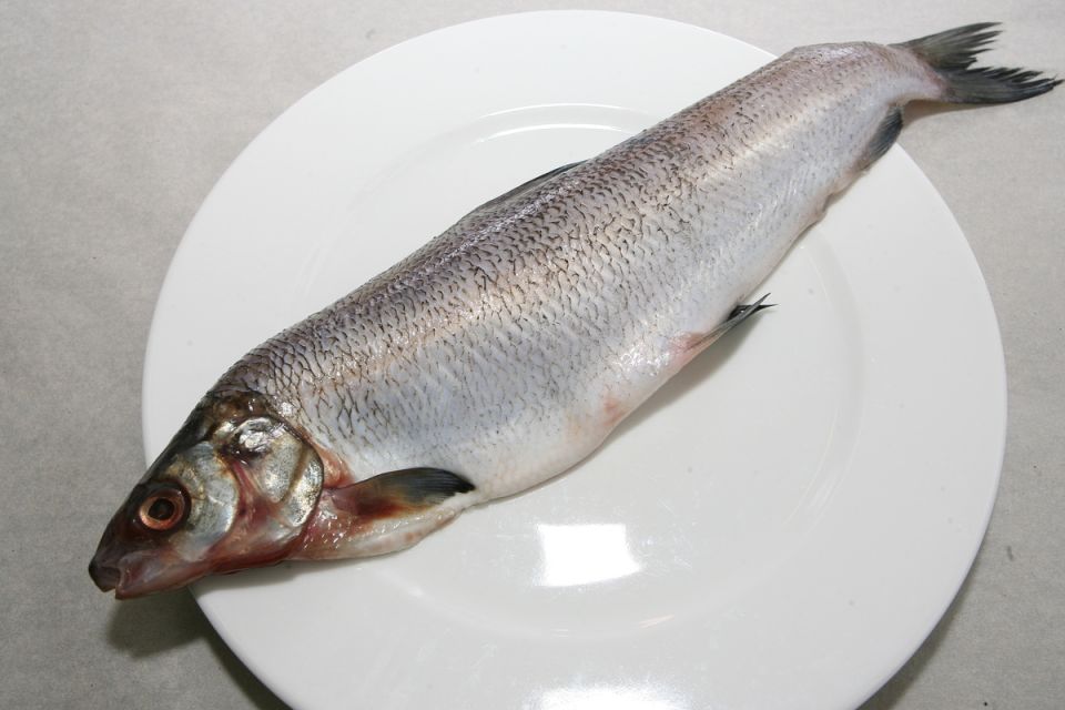 ��� ������� ���������� ����: ������ ���������