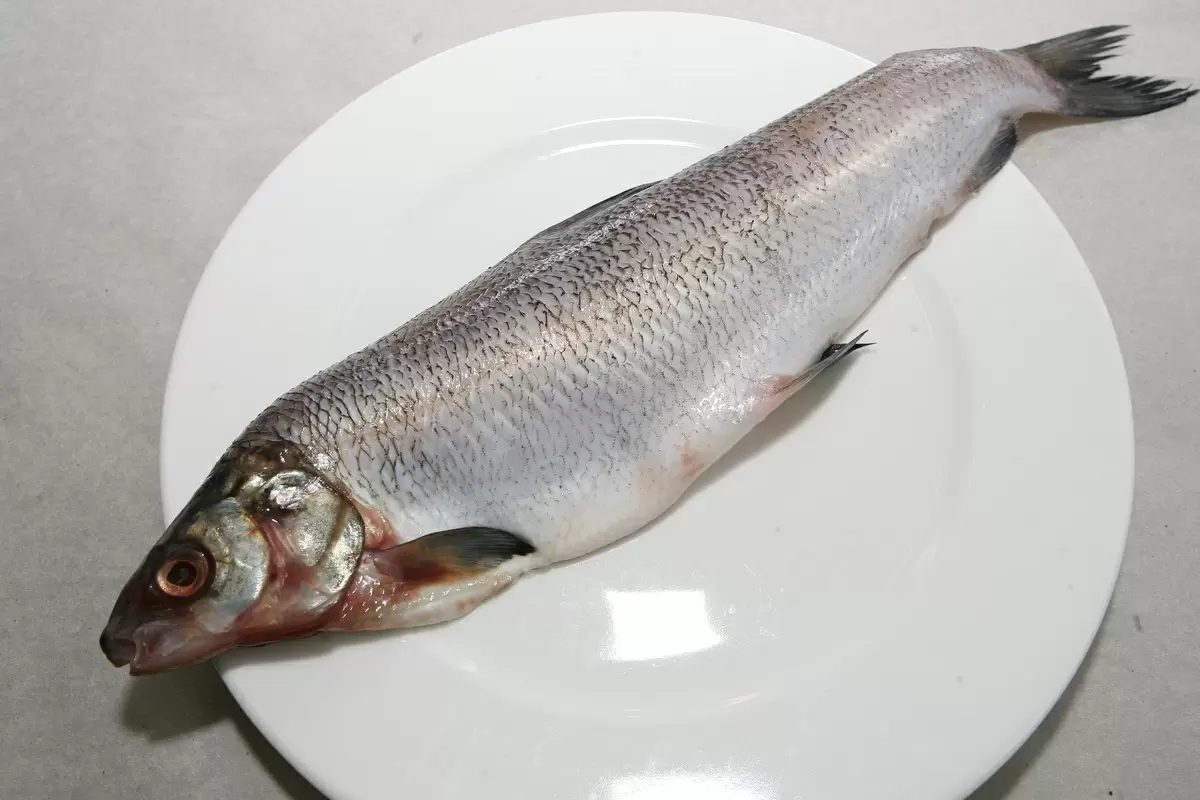 Как выбрать безопасную рыбу: советы диетолога