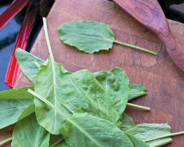 ������: �������� ����������� ��� ������������� ������ ��� ��������?