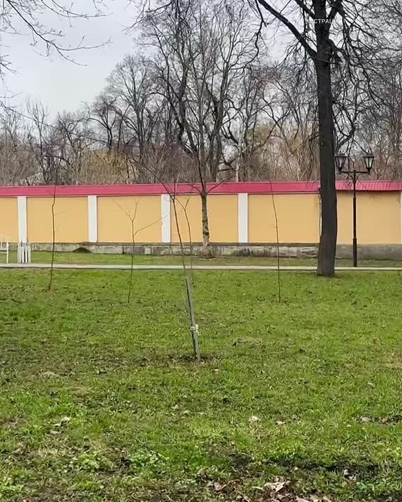 � ���� ������������ ��������������� ���� � ������� ����� ��������