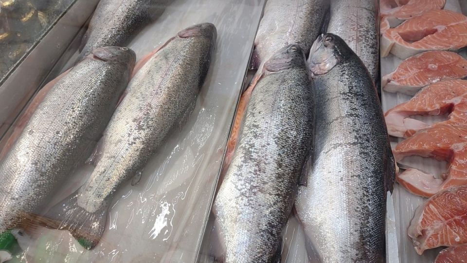 ������������ ��� �� ����: ����� ���� � ������