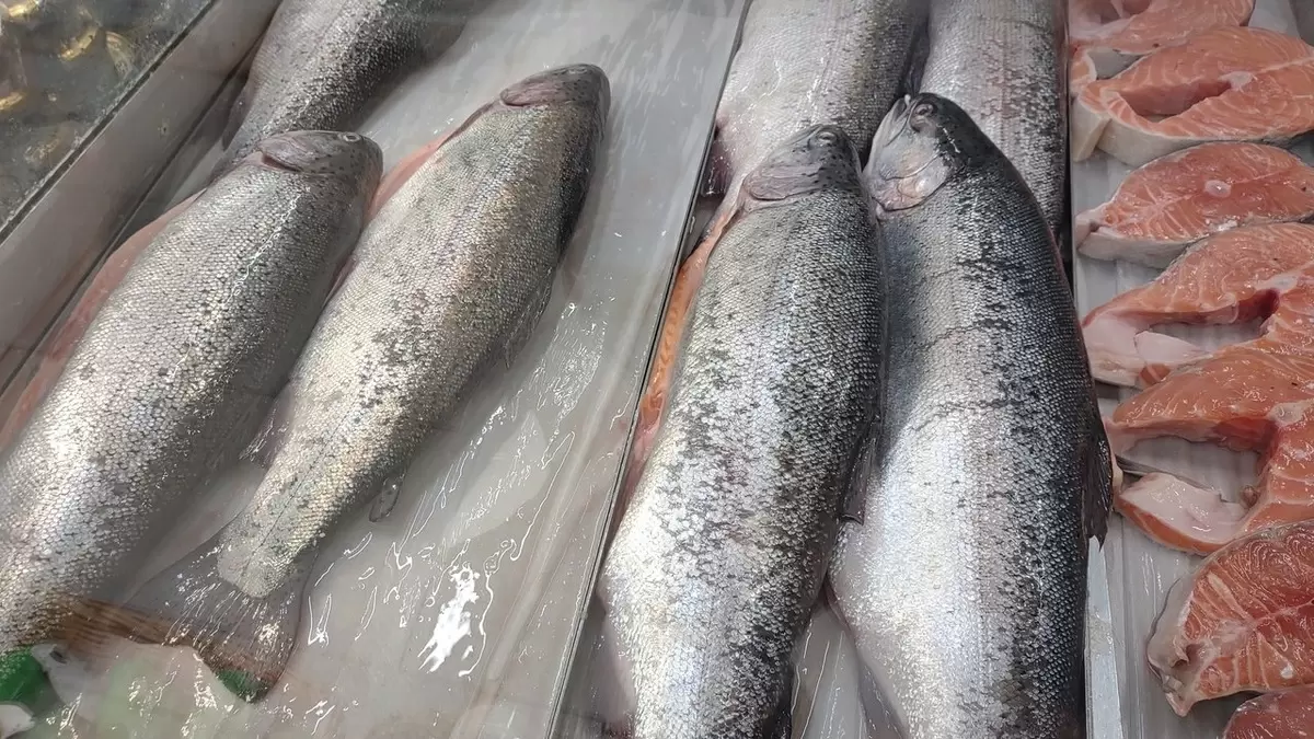 Прозрачность цен на рыбу: Новые меры в России