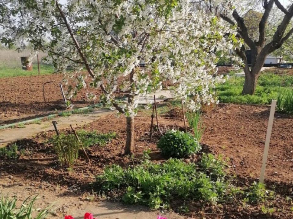 ������ ���� �� ��������: ���������� ��� ������ ��� ����