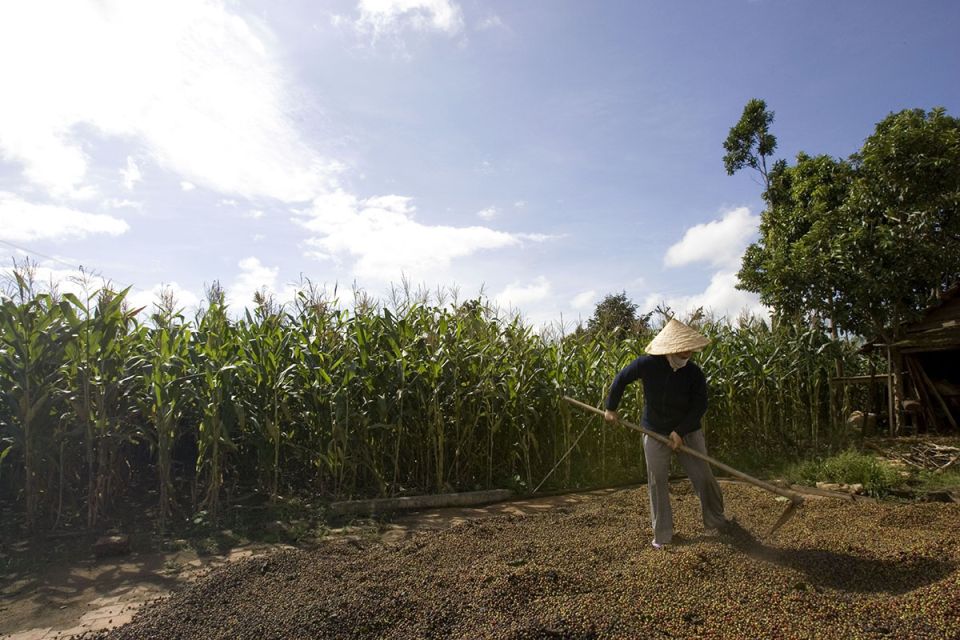 ���� �� ��������: �� ������������� ������������ �� ������������� �������